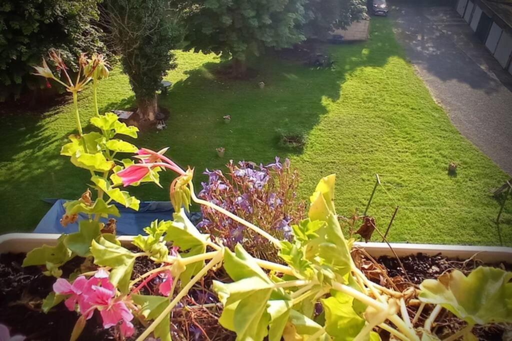 Au Petit Familistère Landrecies, L'authentique. *
